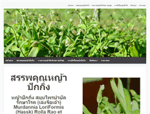 Tablet Screenshot of jatuka.com